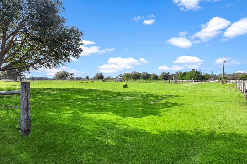 39320 Lake Norris Road Eustis, FL 32736 - Photo 94 of 94