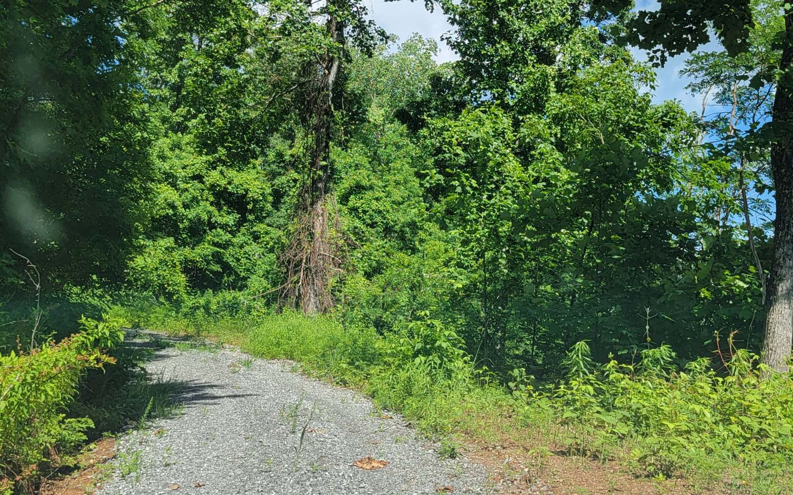 5 North N Ridges Hayesville, NC 28904 - Photo 11 of 15 Additional View