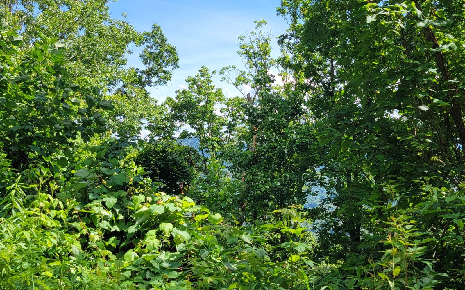5 North N Ridges Hayesville, NC 28904 - Photo 12 of 15 Additional View