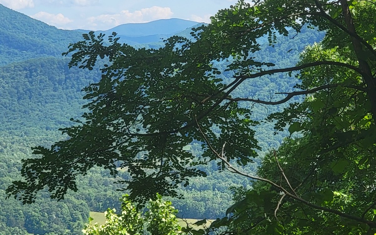 5 North N Ridges Hayesville, NC 28904 - Photo 15 of 15 Additional View