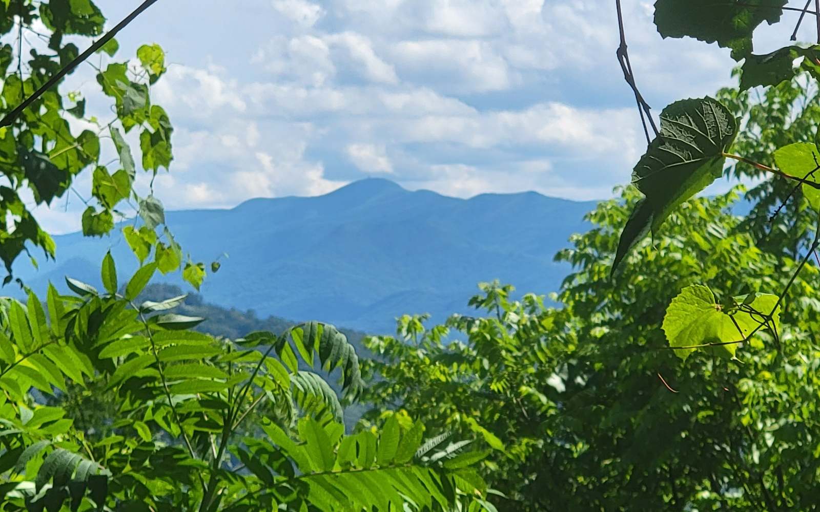5 North N Ridges Hayesville, NC 28904 - Photo 4 of 15 Additional View