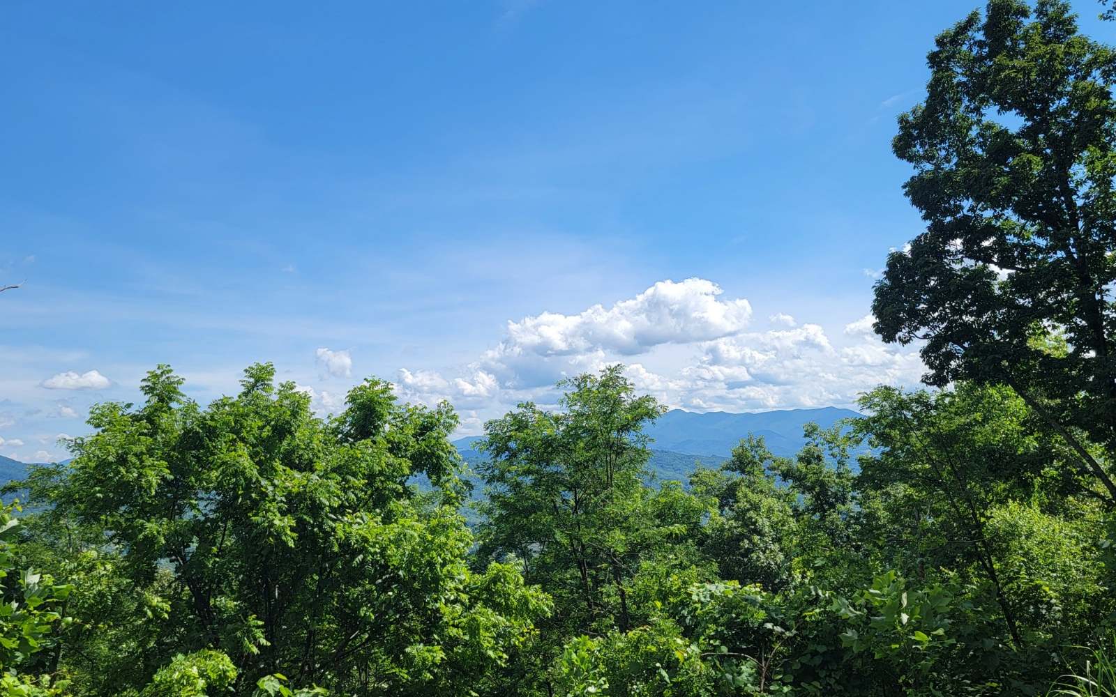 5 North N Ridges Hayesville, NC 28904 - Photo 5 of 15 Additional View