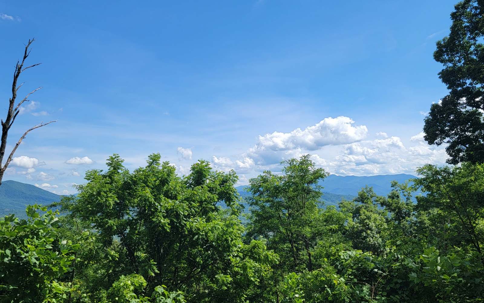 5 North N Ridges Hayesville, NC 28904 - Photo 6 of 15 Additional View