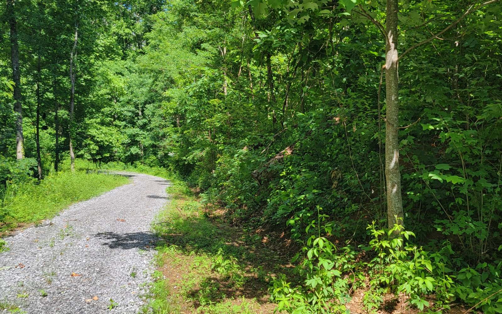 5 North N Ridges Hayesville, NC 28904 - Photo 7 of 15 Additional View