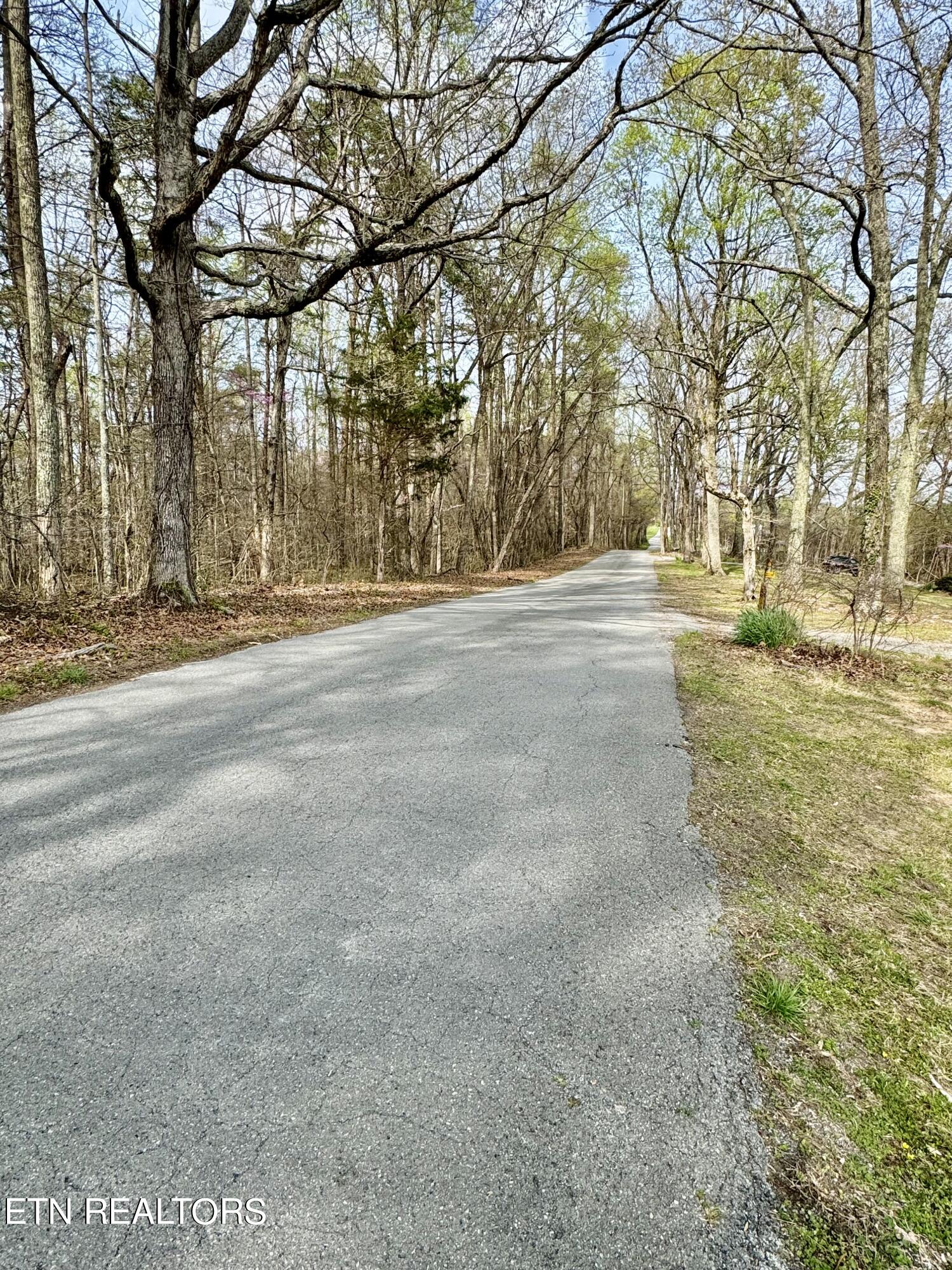 270 Big Ridge Park Road Maynardville, TN 37807 - Photo 6 of 37 IMG_2378