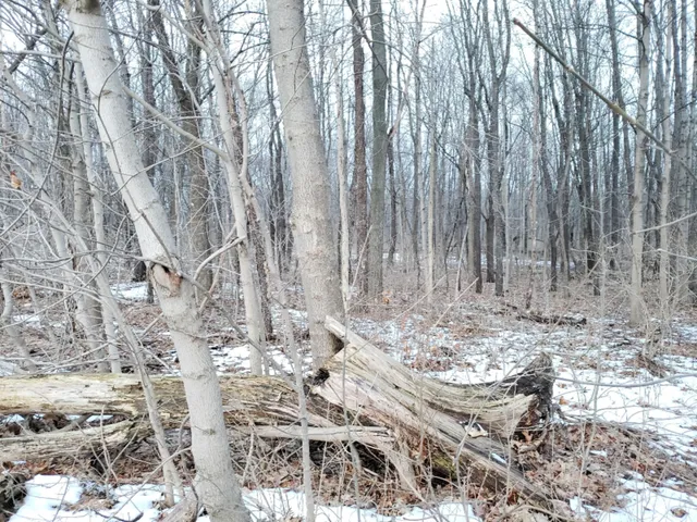 $324,900 | Vl North 5th Street, Niles, MI 49120