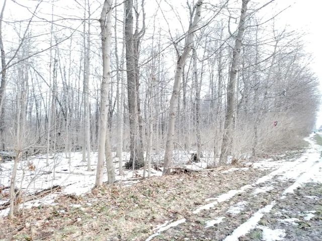 $324,900 | Vl North 5th Street, Niles, MI 49120