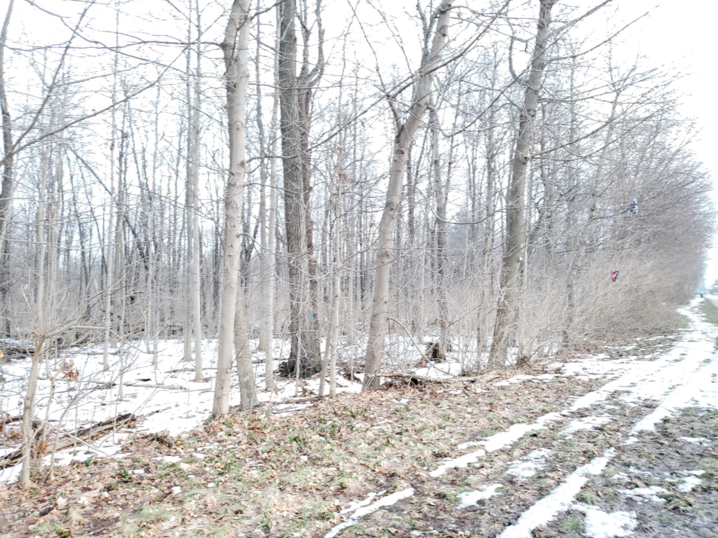 Vl North 5th Street Niles, MI 49120 - Photo 4 of 7 8