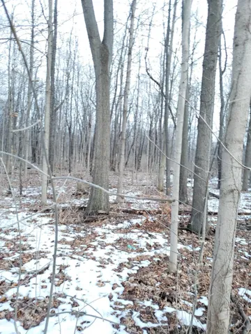 $324,900 | Vl North 5th Street, Niles, MI 49120