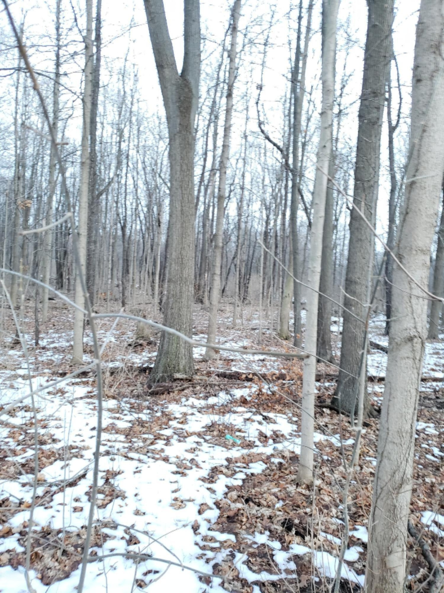 Vl North 5th Street Niles, MI 49120 - Photo 5 of 7 4