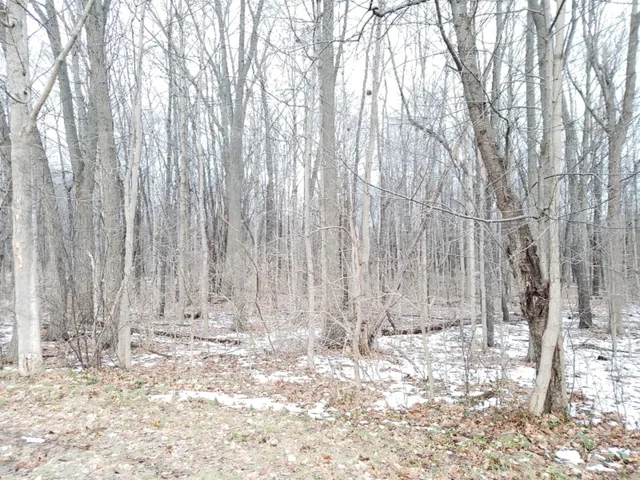 $324,900 | Vl North 5th Street, Niles, MI 49120