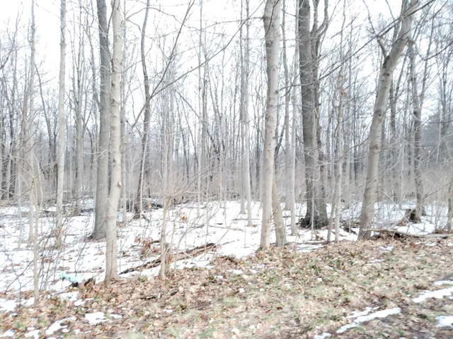 $324,900 | Vl North 5th Street, Niles, MI 49120