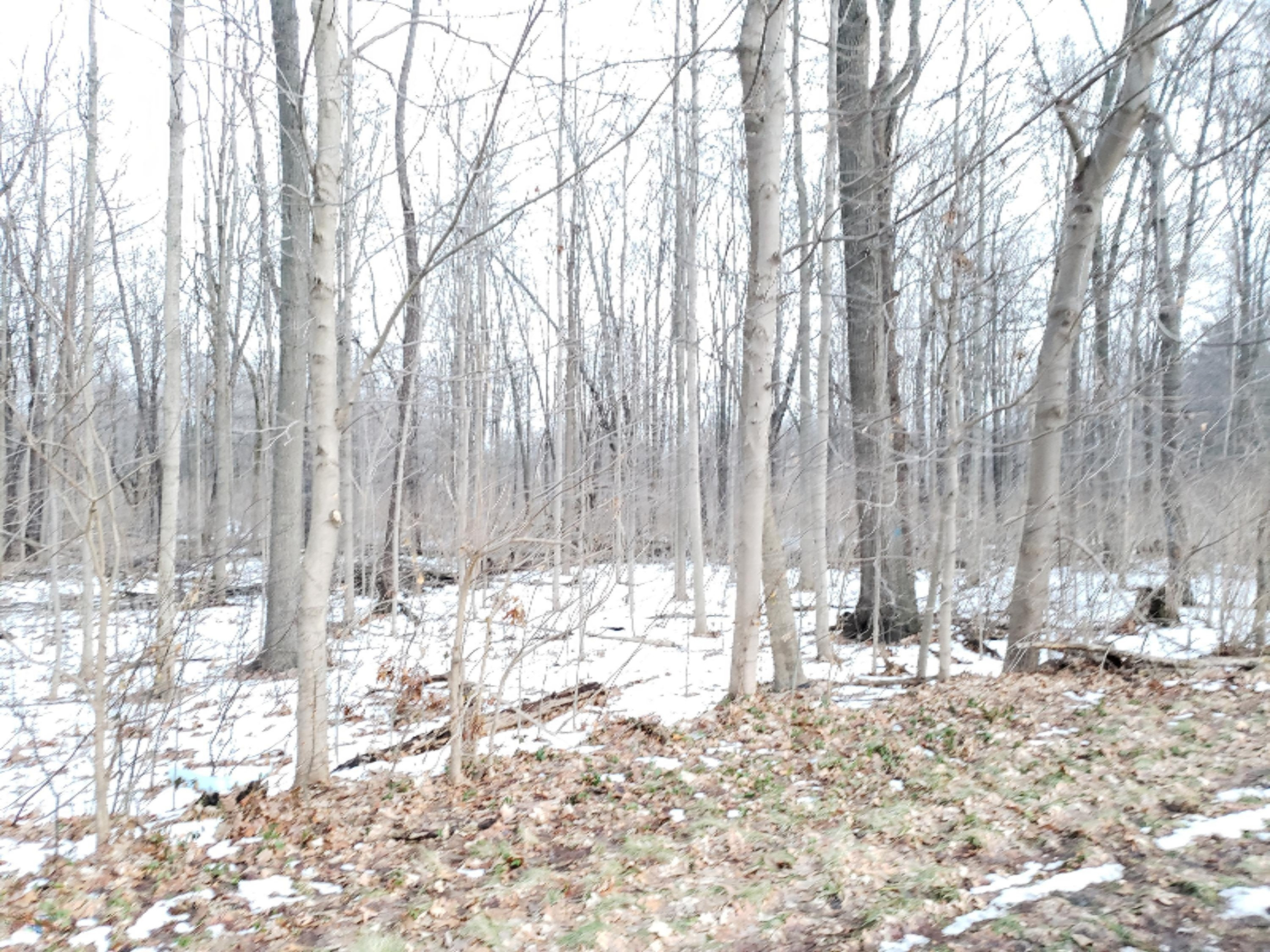 Vl North 5th Street Niles, MI 49120 - Photo 7 of 7 9