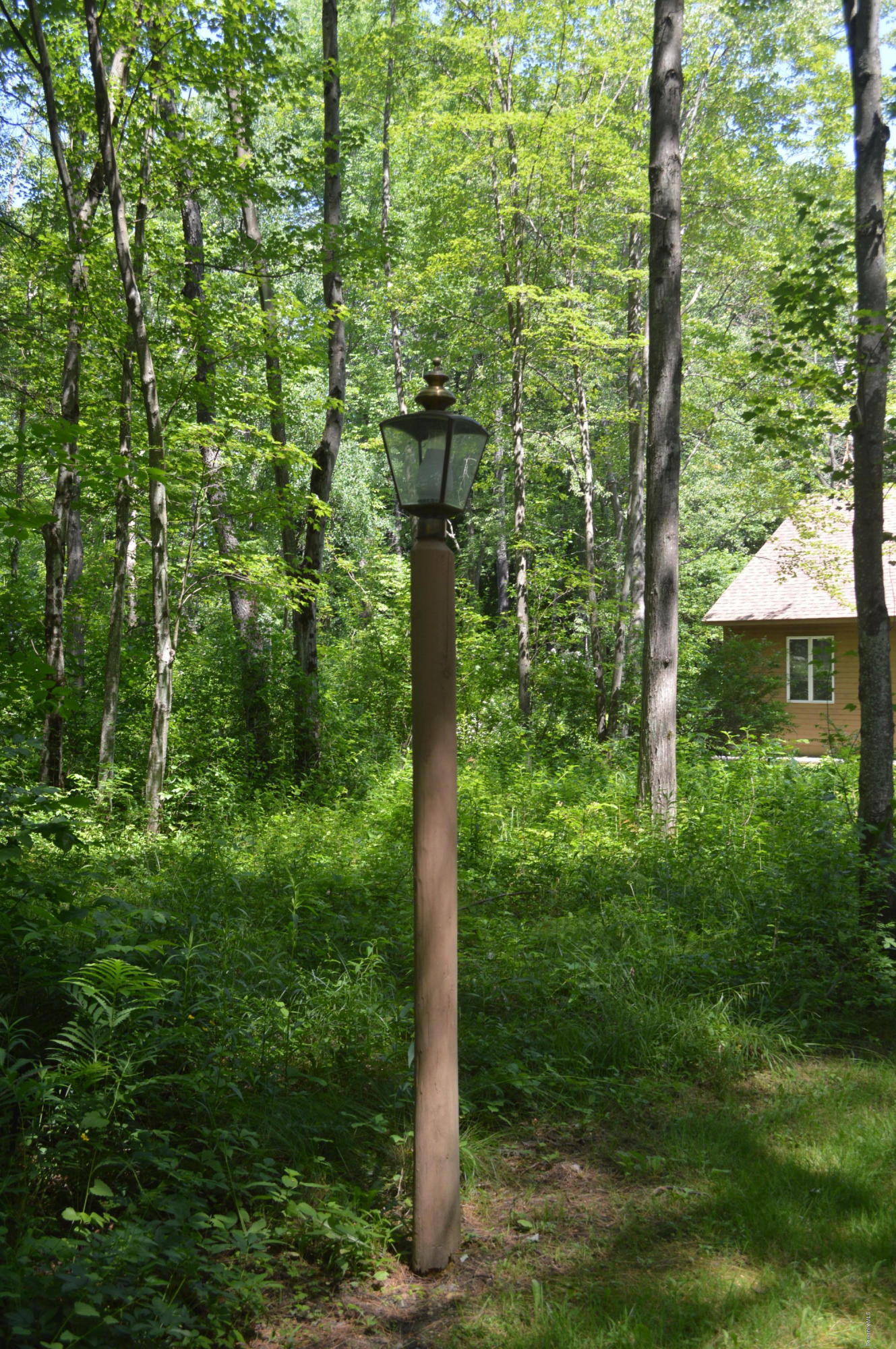 453 Summit Road Richmond, MA 01254 - Photo 2 of 25 a view of a yard with plants and large trees