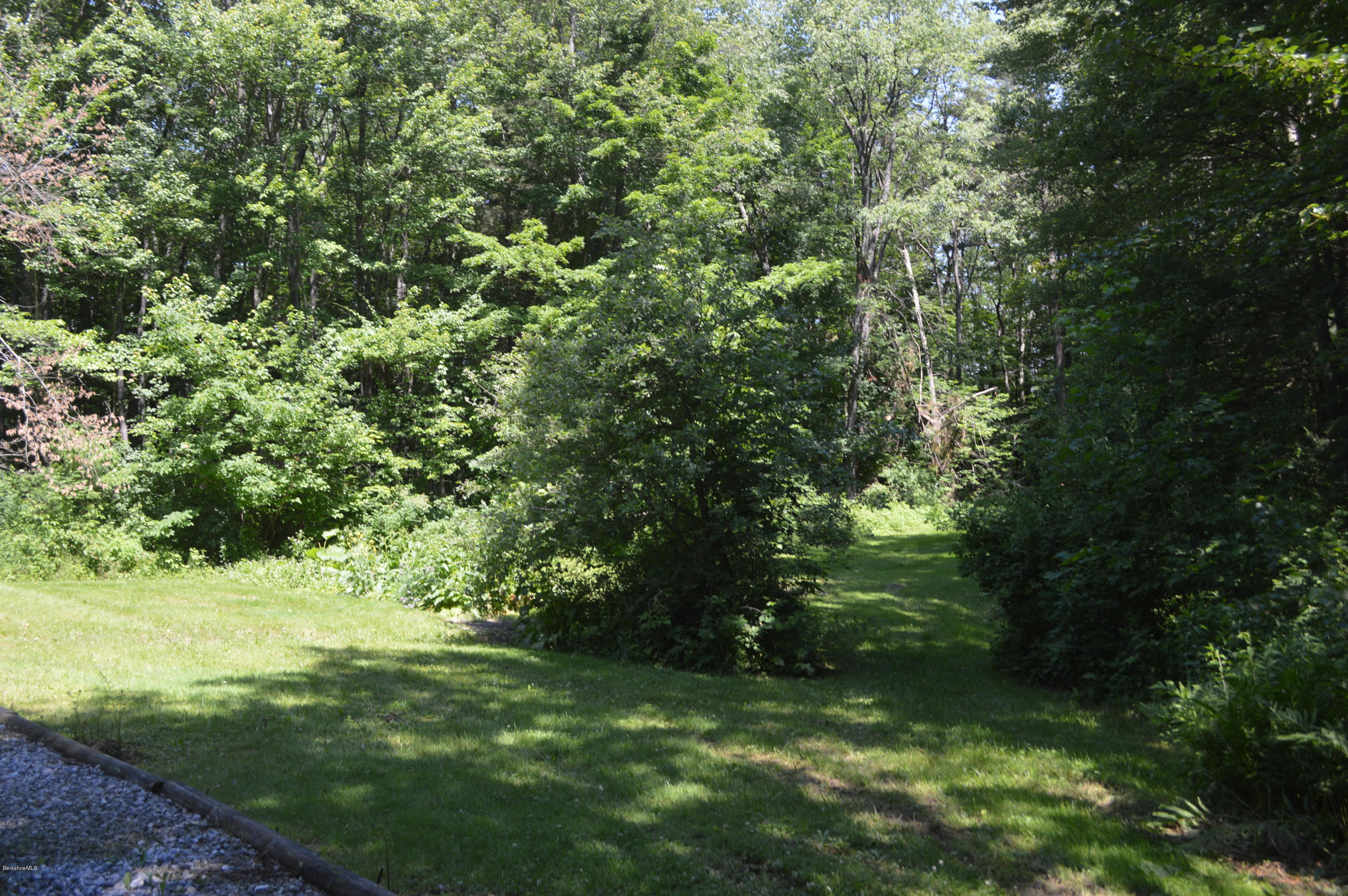 453 Summit Road Richmond, MA 01254 - Photo 18 of 25 a view of a trees in a yard