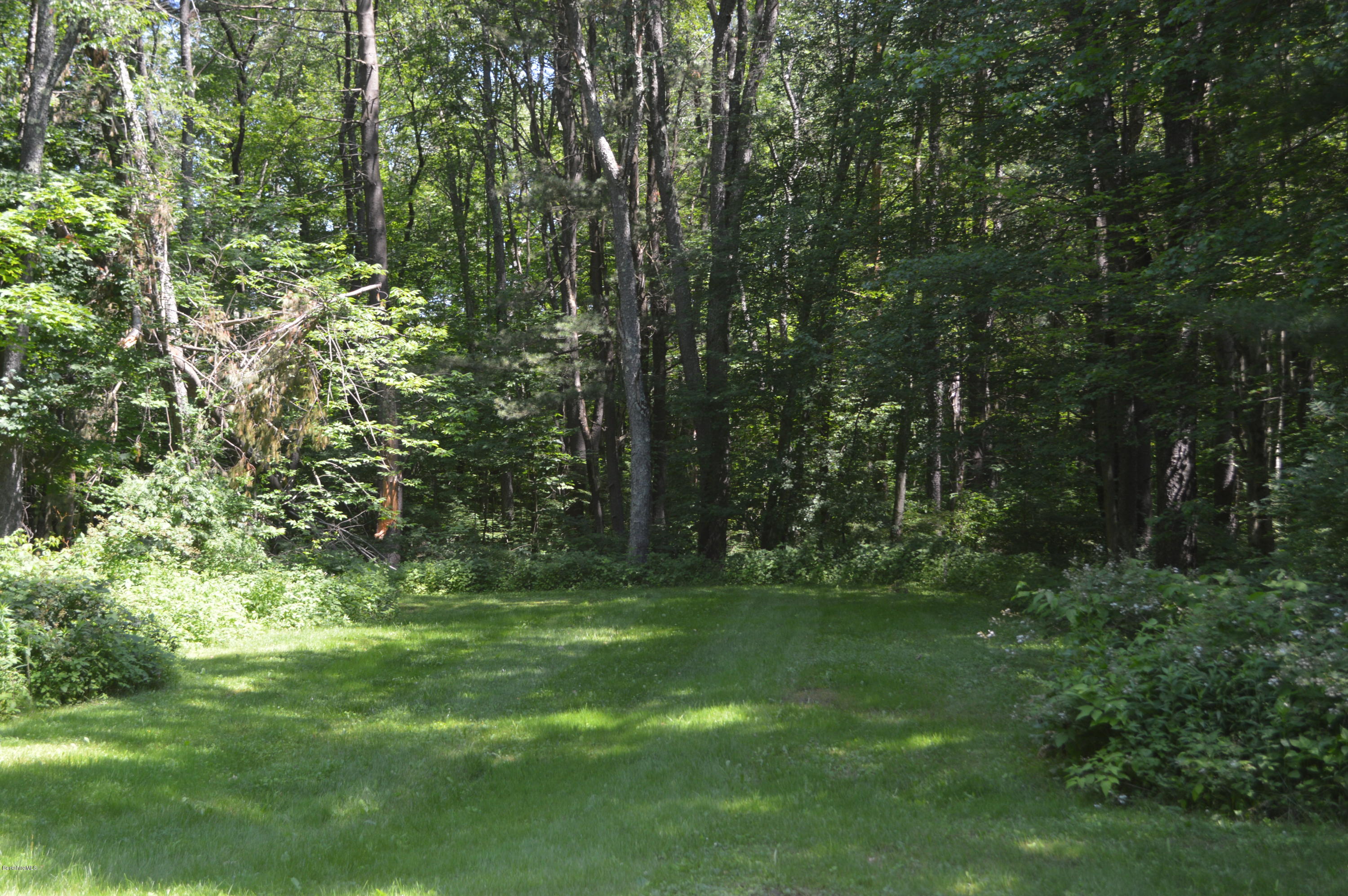 453 Summit Road Richmond, MA 01254 - Photo 21 of 25 a big yard with lots of green space and trees