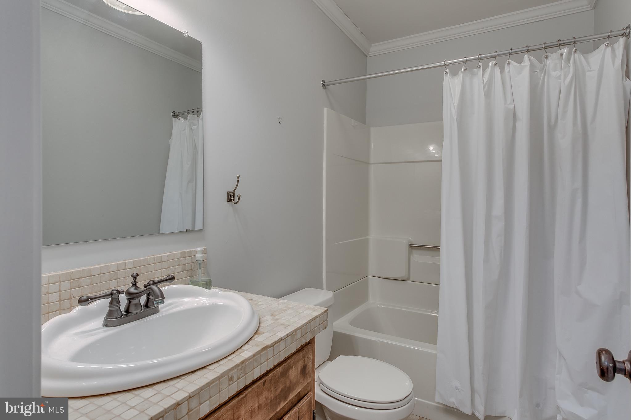 6835 Holter Road Middletown, MD 21769 - Photo 54 of 112 Full Bath in Basement