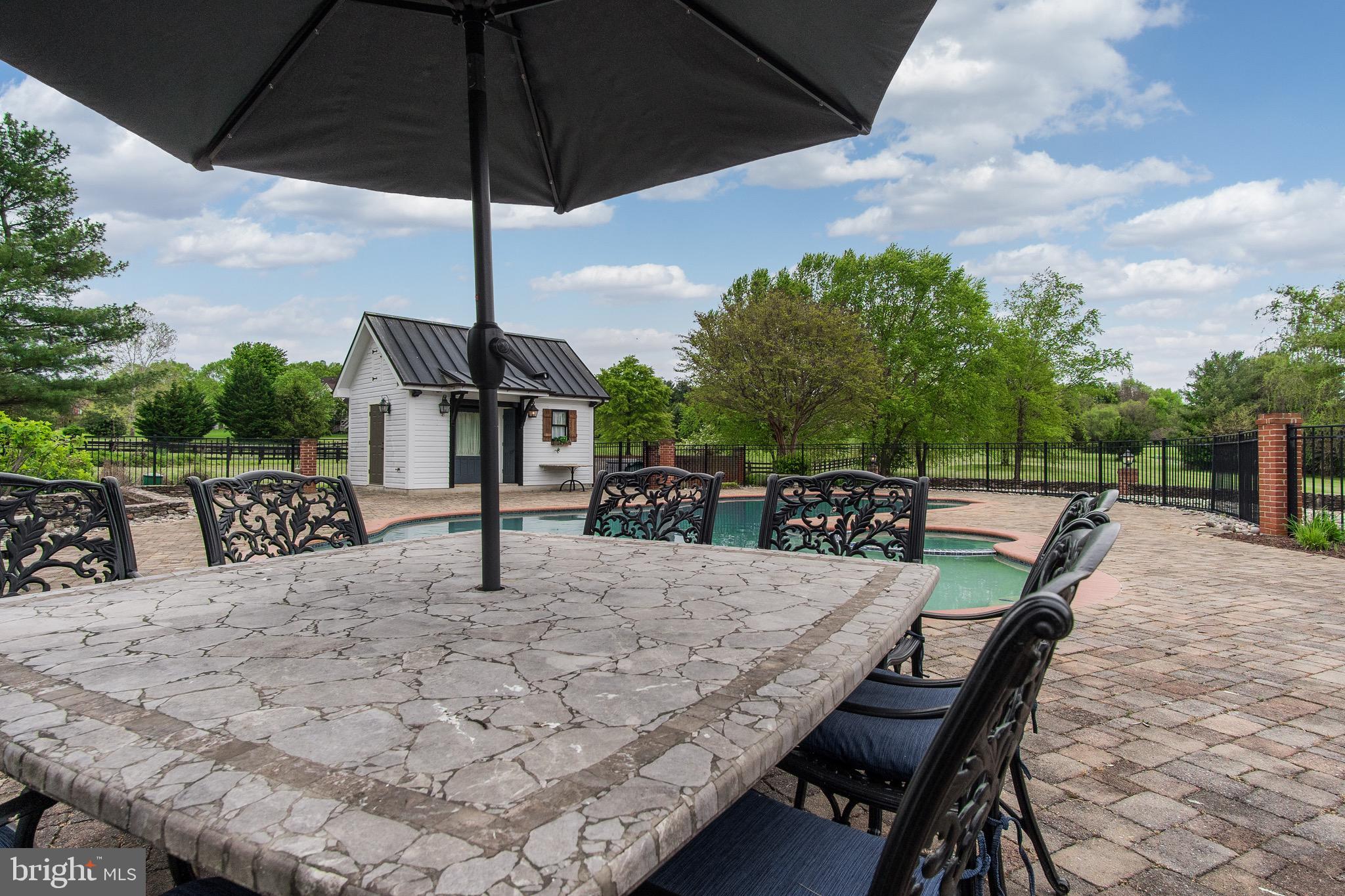6835 Holter Road Middletown, MD 21769 - Photo 66 of 112 Pool area