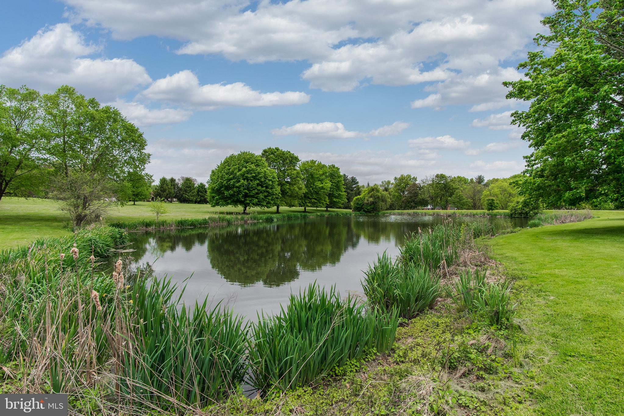 6835 Holter Road Middletown, MD 21769 - Photo 87 of 112 Pond