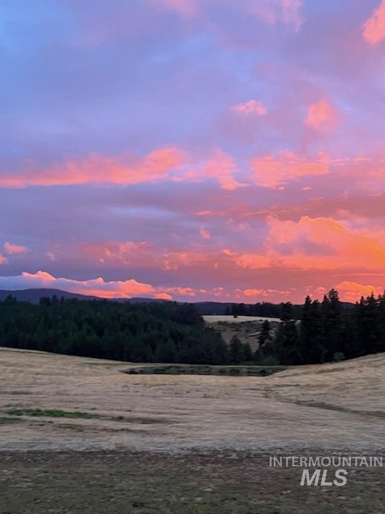 1086 East Rock Creek Road Potlatch, ID 83855 - Photo 46 of 47