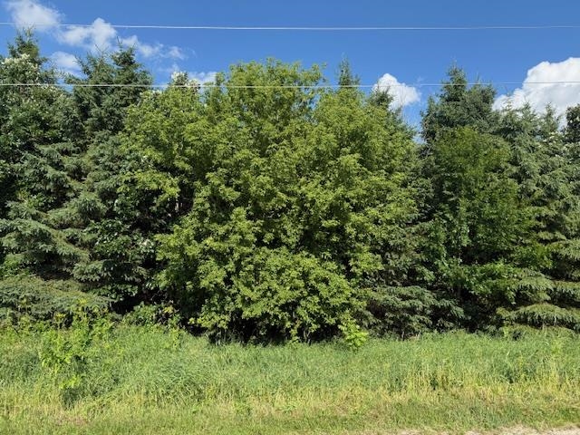 Artesian Road Fond du Lac, WI 54935 - Photo 3 of 6