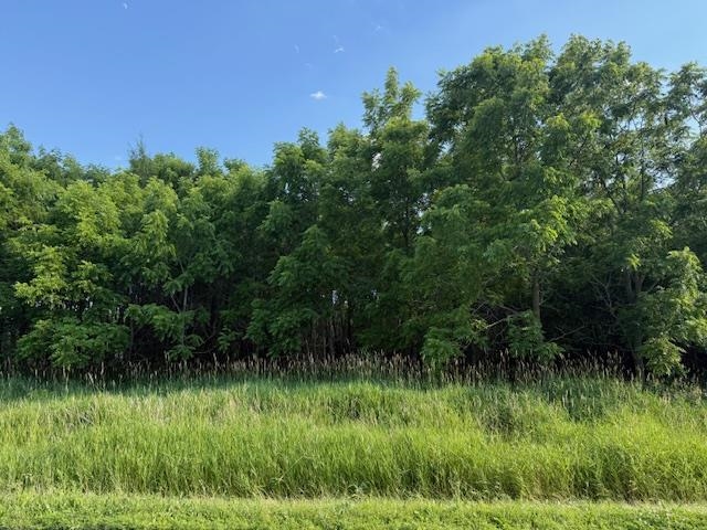 Artesian Road Fond du Lac, WI 54935 - Photo 4 of 6