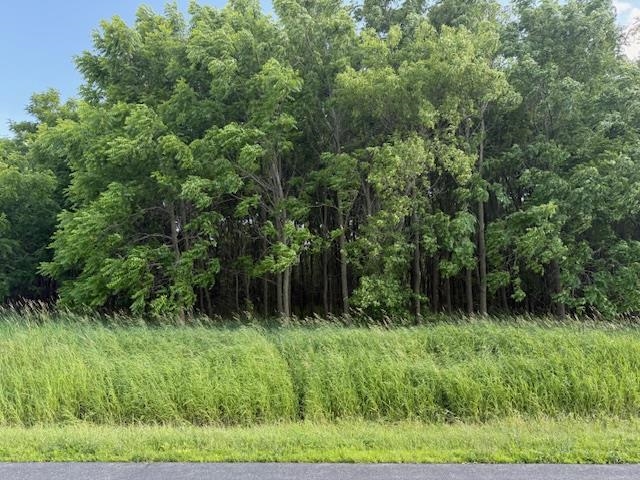 Artesian Road Fond du Lac, WI 54935 - Photo 5 of 6