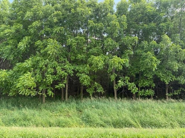 Artesian Road Fond du Lac, WI 54935 - Photo 6 of 6