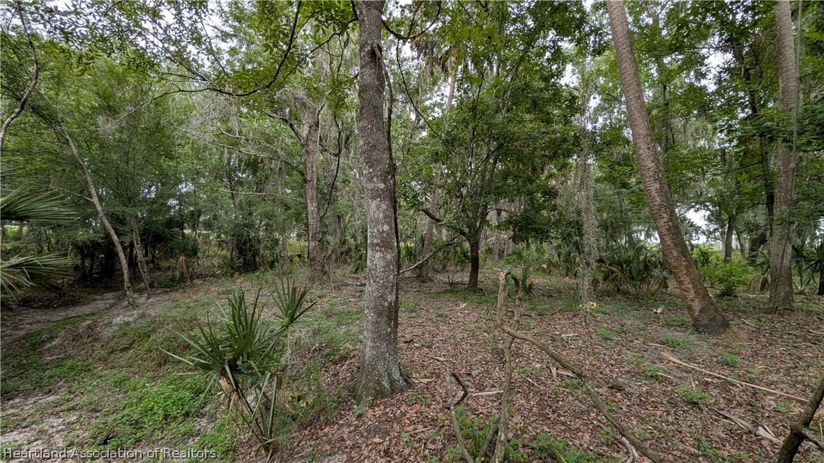 Popash Road Wauchula, FL 33873 - Photo 20 of 29 a view of a forest with trees in the background
