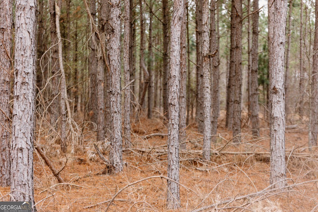 0 Bunn Store Road, Unit TRACT 1 Midville, GA 30441 - Photo 5 of 15 a close up of a curtain