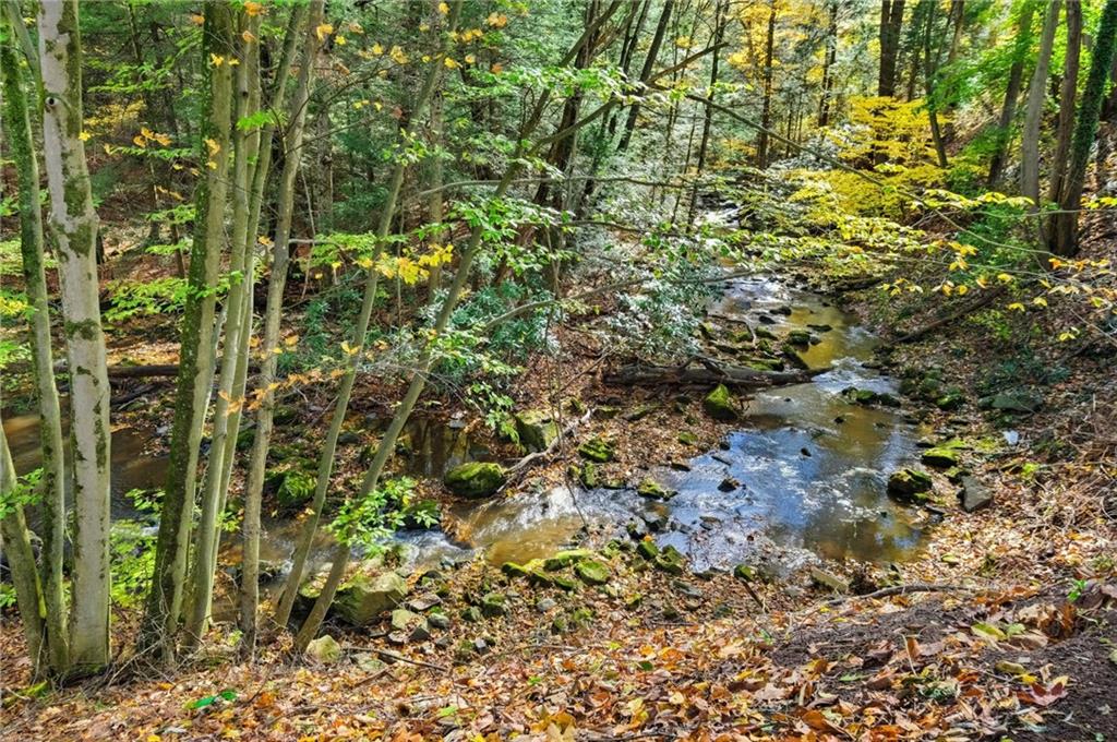 156 Rockdale Road Rockwood, PA 15557 - Photo 34 of 35 a view of a plant in a garden