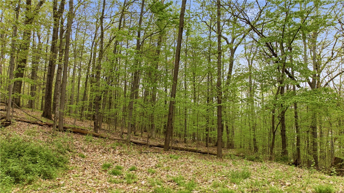 Silvernail Road Hammondsport, NY 14840 - Photo 11 of 25