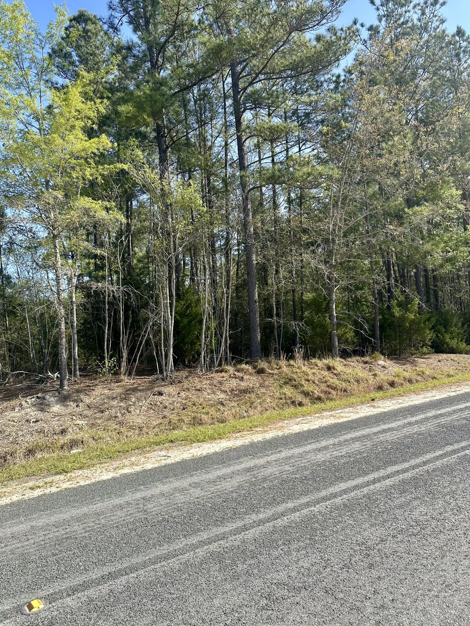 521 West Deer Road Timmonsville, SC 29161 - Photo 7 of 12