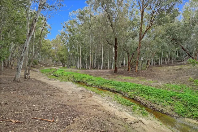 a fire hydrant in the middle of a field