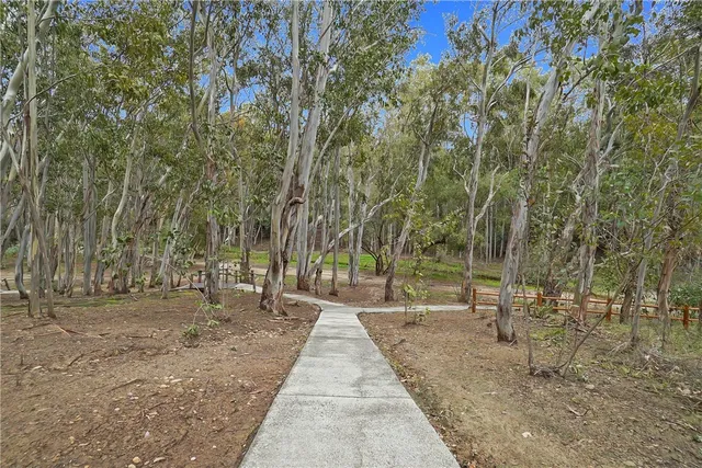 a view of a park with large trees