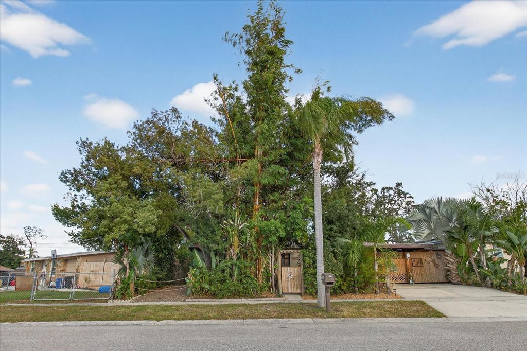 1652 Debonair Drive Holiday, FL 34690 - Photo 6 of 91