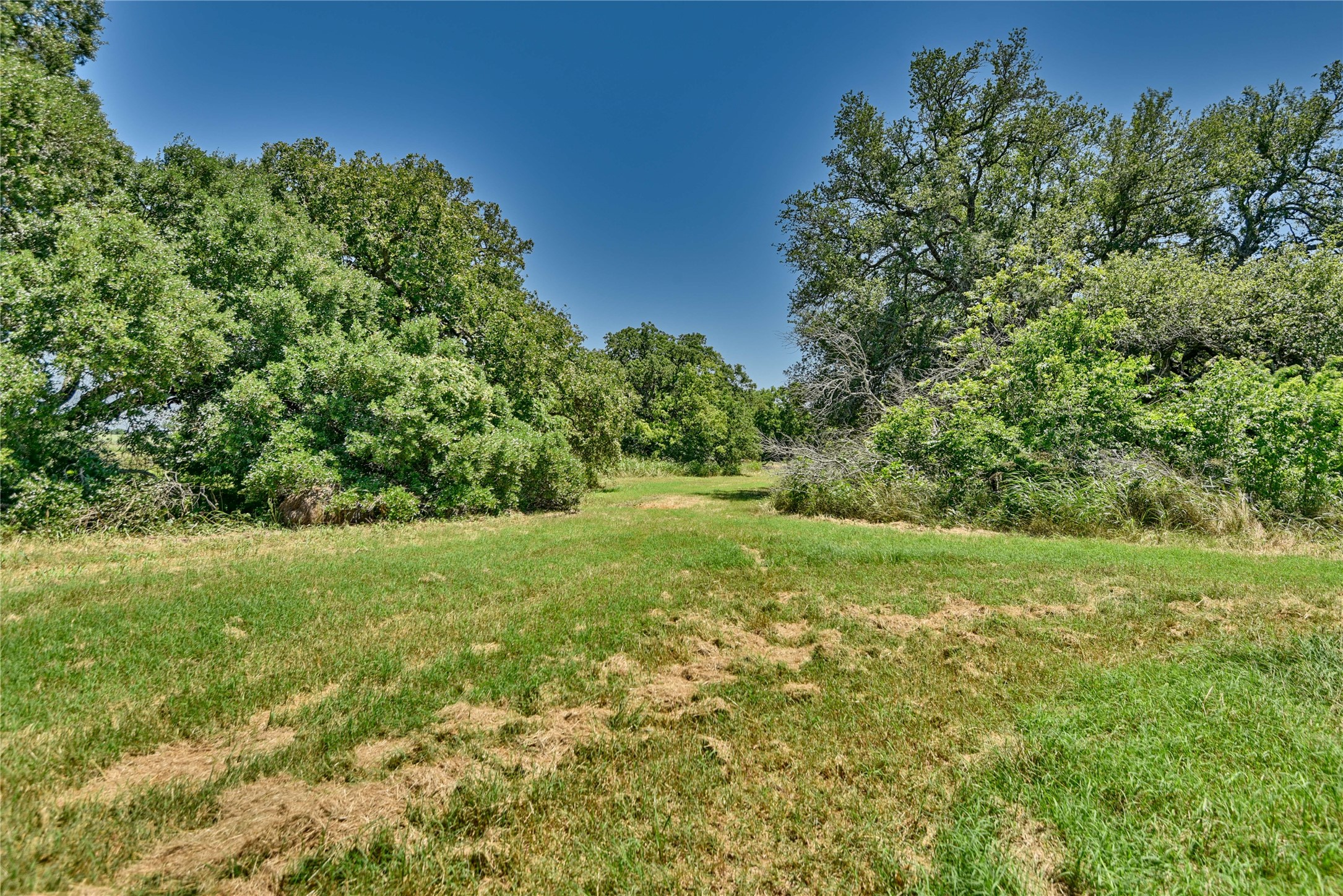 Klekar-gin Klekar-Gin Road Schulenburg, TX 78956 - Photo 1 of 1