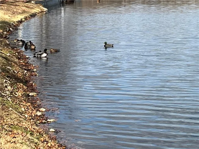 $220,000 | 12211 Holmes Lane, Kansas City, MO 64146