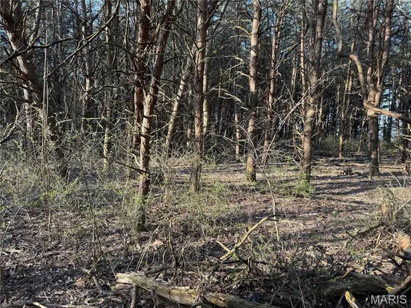 $275,000 | 0 12.12 Ac Kaskaskia Road, Waterloo, IL 62298