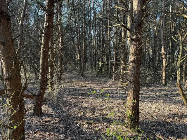 $275,000 | 0 12.12 Ac Kaskaskia Road, Waterloo, IL 62298