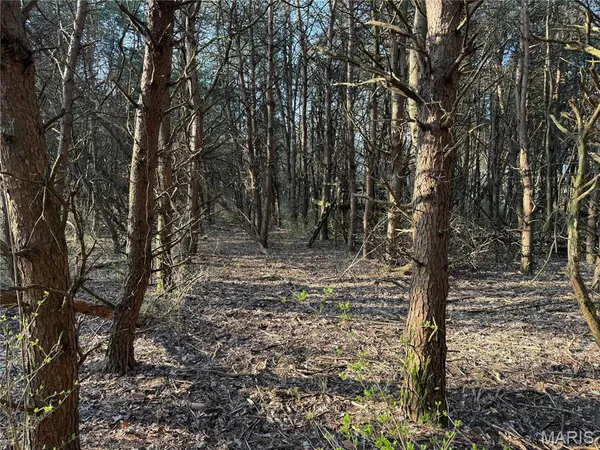 $275,000 | 0 12.12 Ac Kaskaskia Road, Waterloo, IL 62298