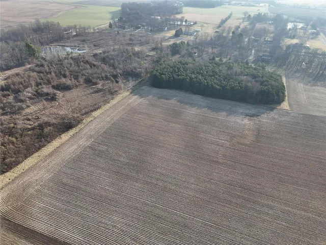 $275,000 | 0 12.12 Ac Kaskaskia Road, Waterloo, IL 62298