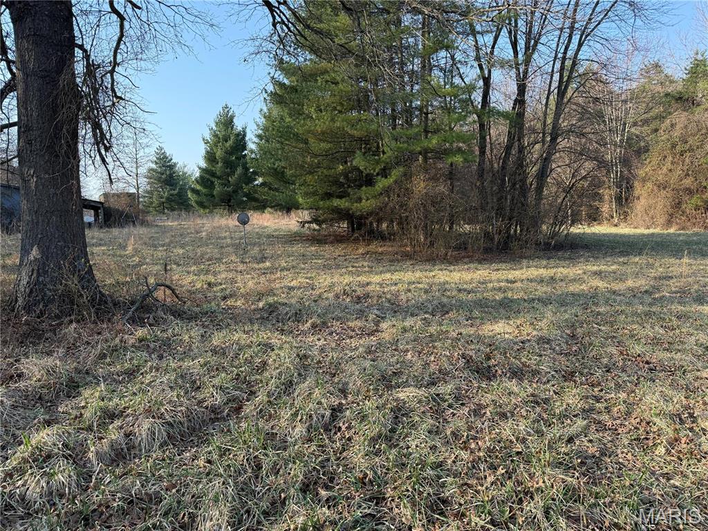 0 12.12 Ac Kaskaskia Road Waterloo, IL 62298 - Photo 3 of 22