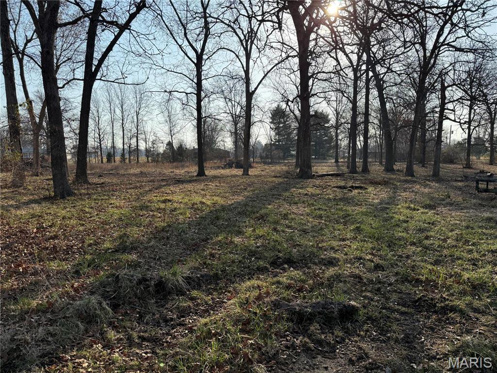 0 12.12 Ac Kaskaskia Road Waterloo, IL 62298 - Photo 4 of 22