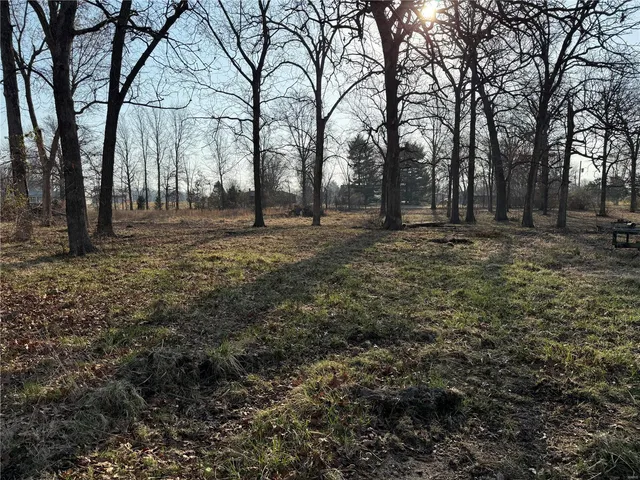$275,000 | 0 12.12 Ac Kaskaskia Road, Waterloo, IL 62298