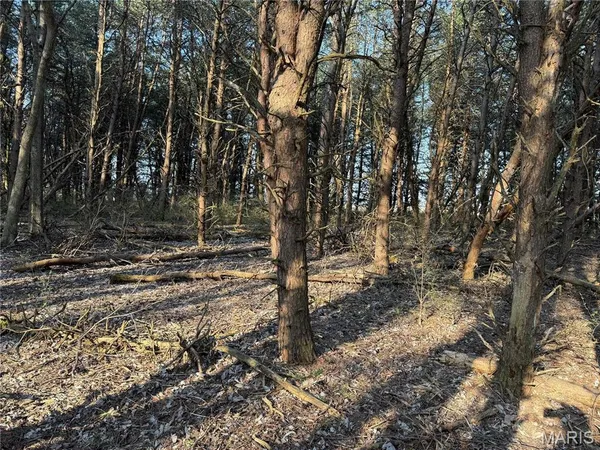 $275,000 | 0 12.12 Ac Kaskaskia Road, Waterloo, IL 62298