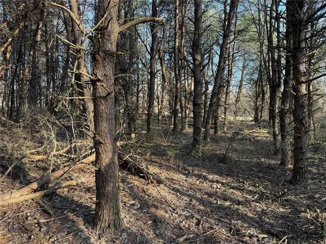 $275,000 | 0 12.12 Ac Kaskaskia Road, Waterloo, IL 62298