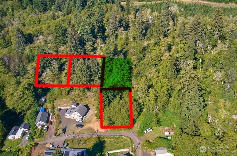 0 Cosgrove Street Hoquiam, WA 98550 - Photo 4 of 8 a view of yard