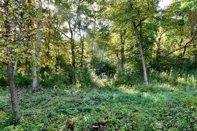 $1,200,000 | 2331 Goodview Road, Winona, MN 55987