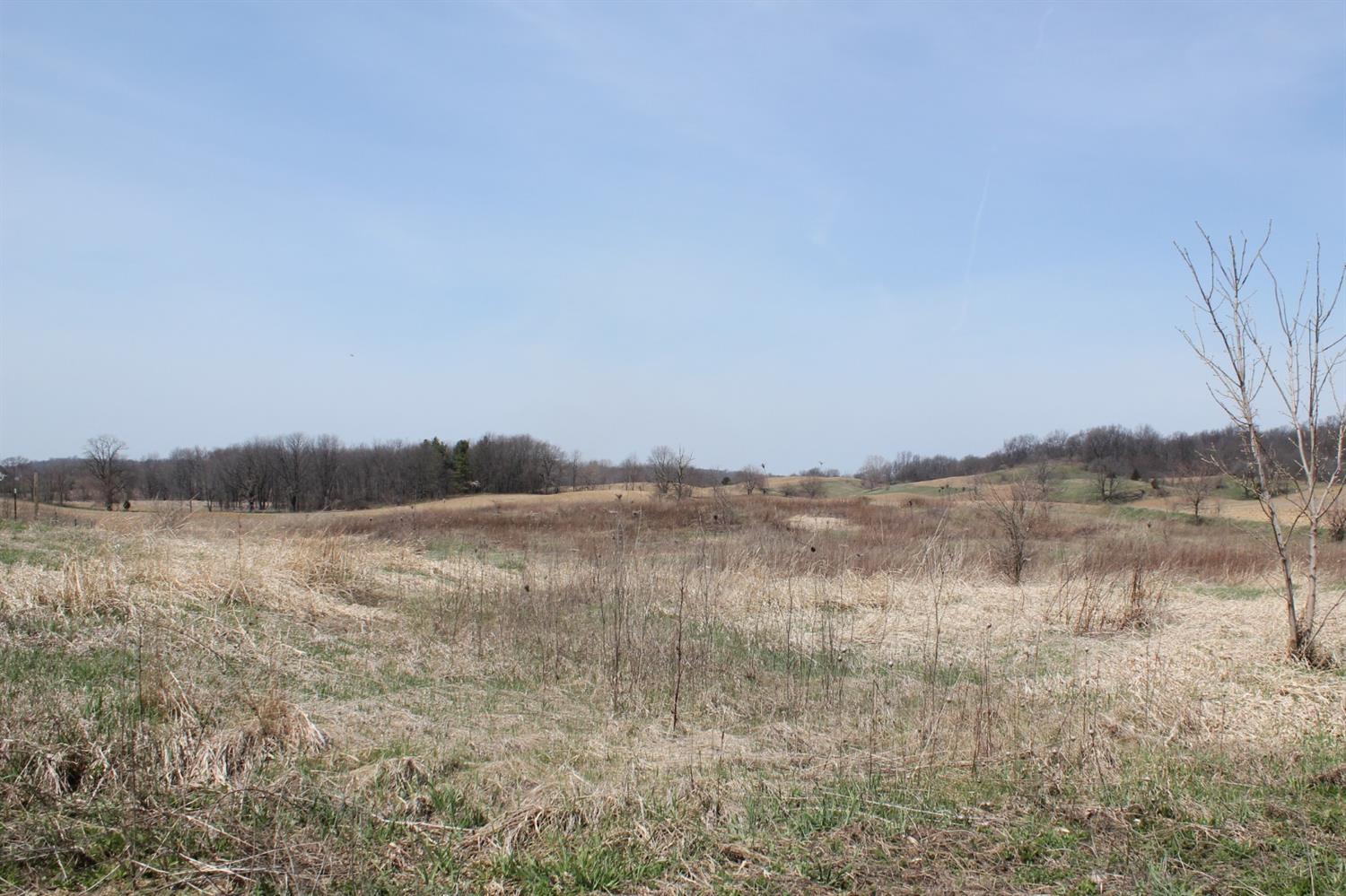 0 Lima Center Road Ann Arbor, MI 48103 - Photo 2 of 2 Photo 2